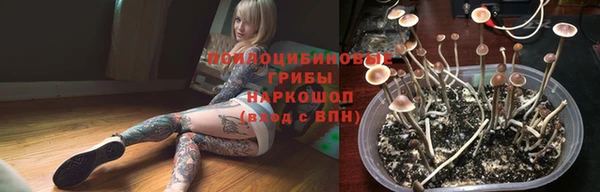 дживик Горно-Алтайск
